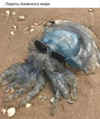 Прикрепленное изображение: 233625268_4178339875615384_7356345293965527533_n.jpg